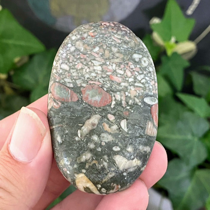 Crinoid Sea Fossil Pocket Stone from China