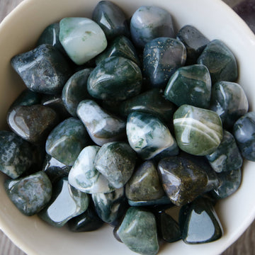 Moss Agate Tumbled Crystals from India