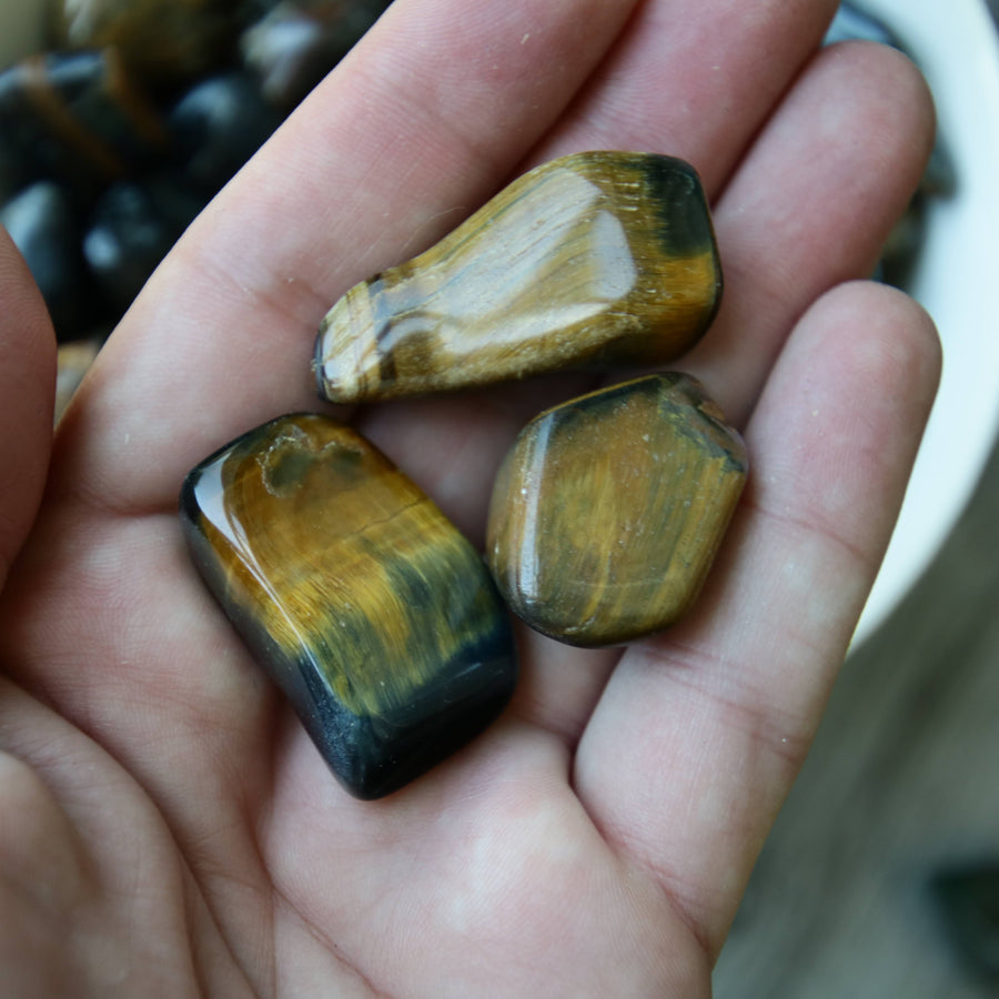 Blue and Brown Tiger's Eye Mixed Tumbled Crystals from Australia