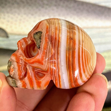 Carnelian Skull Carving from Madagascar