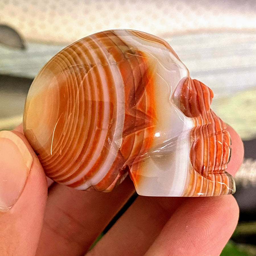 Carnelian Skull Carving from Madagascar