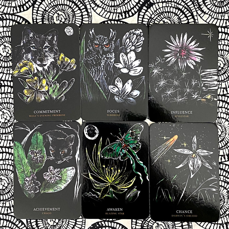 Flowers of the Night Oracle Deck by Cheralyn Darcey
