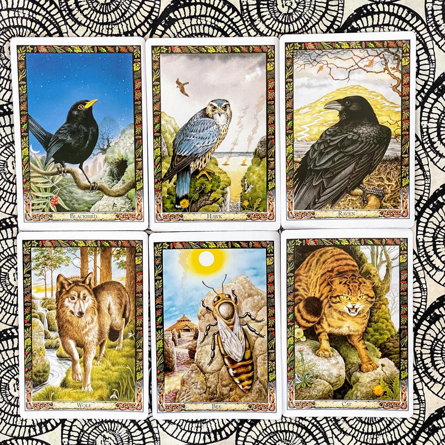 The Druid Animal Oracle Deck by Philip Carr-Gomm