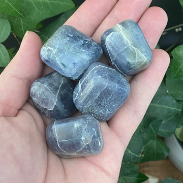 Iolite Tumbled Stones from India