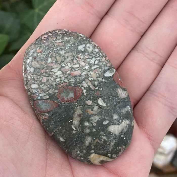 Crinoid Sea Fossil Pocket Stone from China