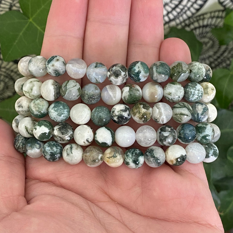 Tree Agate Gemstone Bracelet