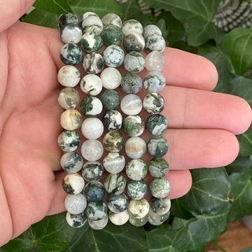 Tree Agate Gemstone Bracelet